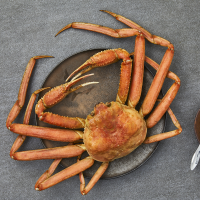 러시아 활대게 1kg