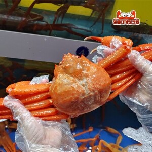 국내산 설탕홍게 3kg (9~10마리)